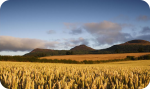 Online Borders image courtesy of www.ourscottishborders.com